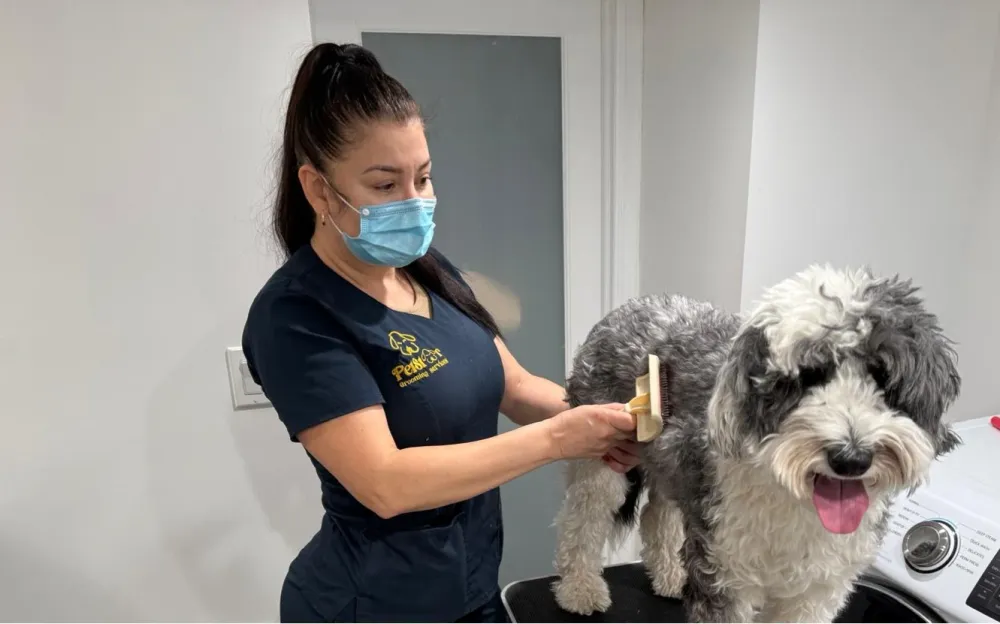 Pet Grooming