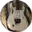 Chris profile
